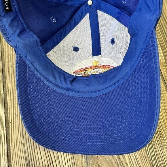 BOY Scouts America San Diego California 959 Hat Cap Blue Rattlesnake Patch - Picture 3 of 7